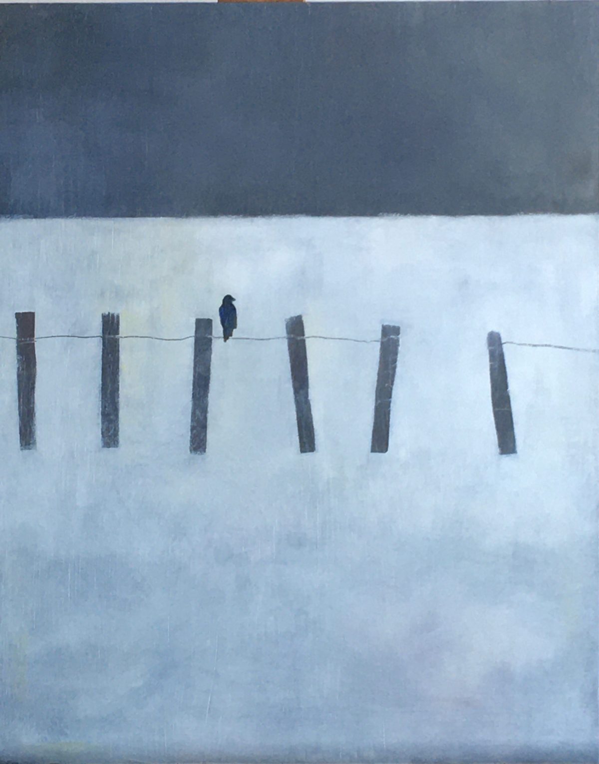 Private: Fence in snow 2021